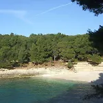 Davor