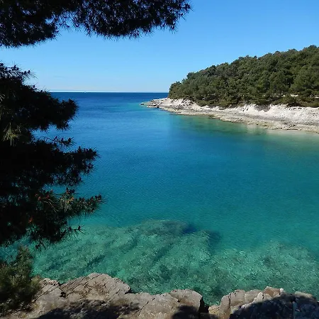 Pensjonat Davor 3*