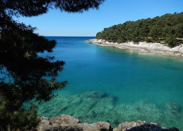 Gostinjska kuća Davor 3*